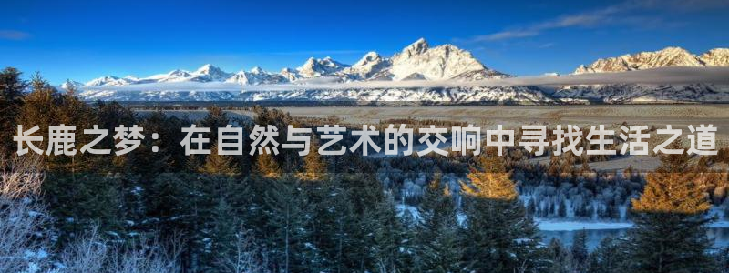 九游会的网址九