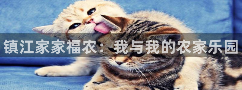 J9九游会官方网站
