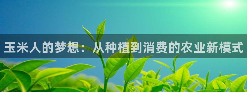 九游会数字货币