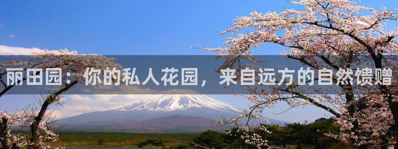 九游会网站数字货币
