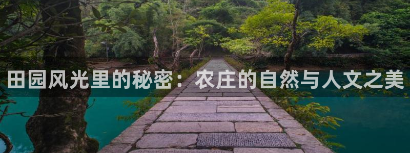 九游会私享