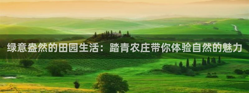 ag九游会官网下载