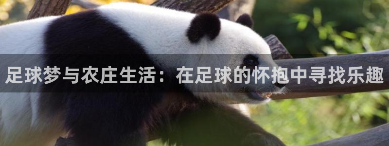 九游会最新官网ag