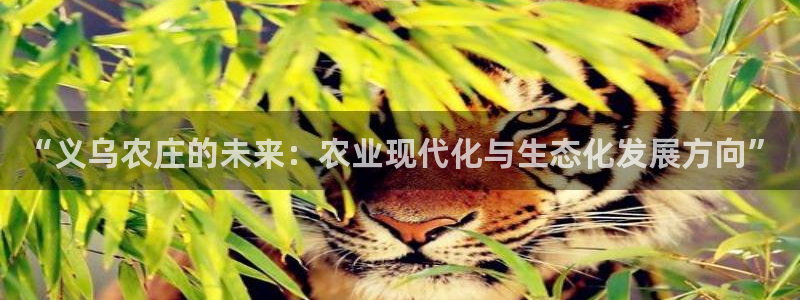 九游会ag亚洲集团官方网站
