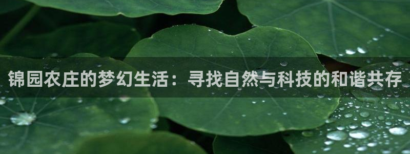 九游会杀猪