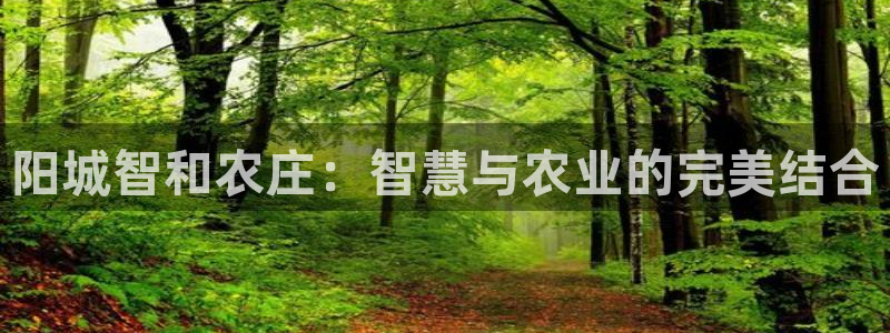九游会2853179Z空间