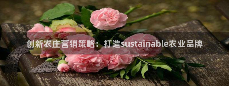九游会连接