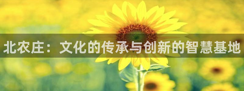 九游会路线入口