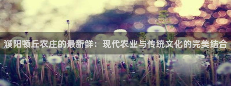 九游会MG平台