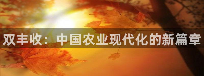j9九游会路单