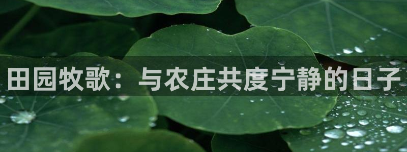 九游评论区留言会封号吗