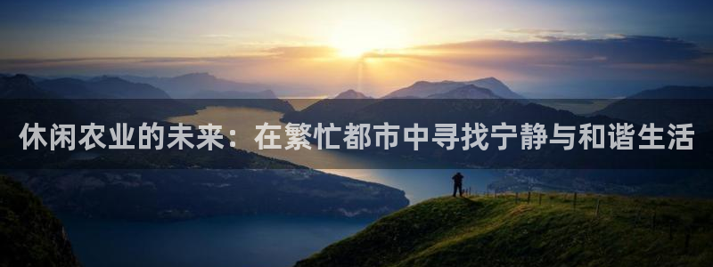 九游会买球