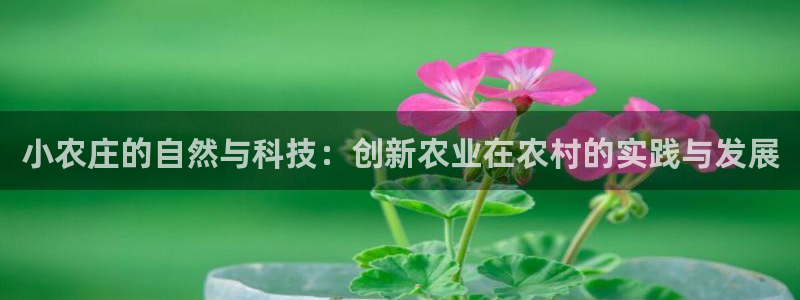九游会跟ag是啥关系