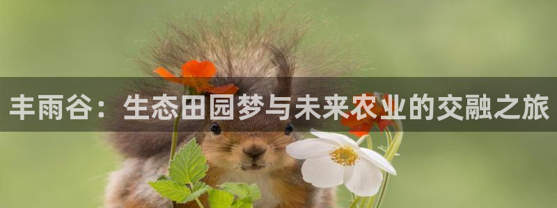 九游会手机app