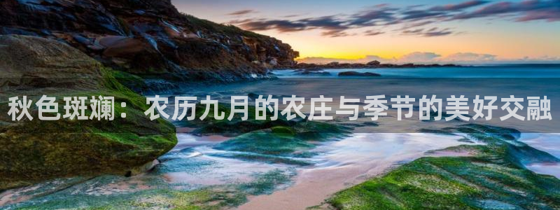 九游会j9提现快吗